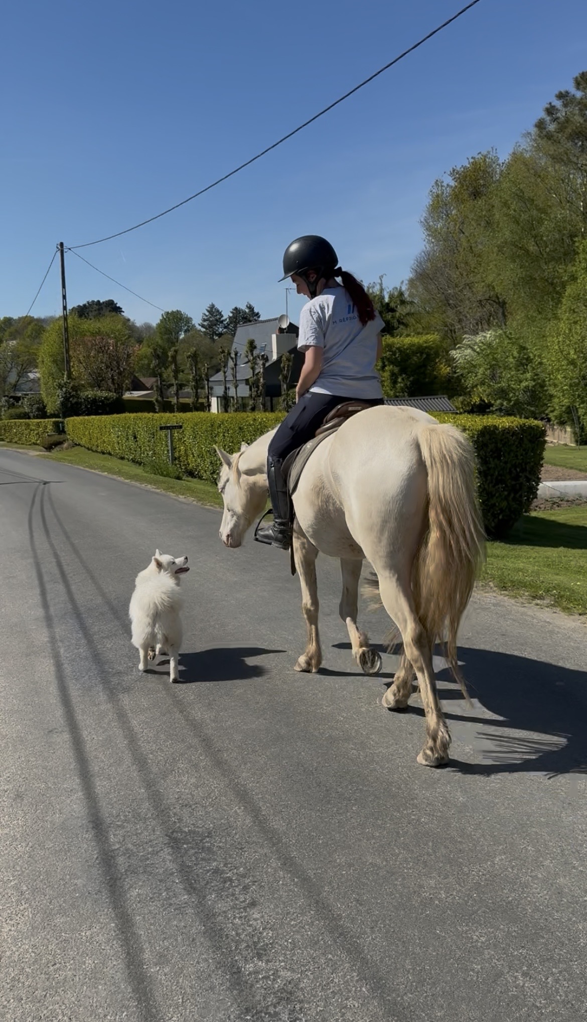 En balade à cheval avec Volt et June