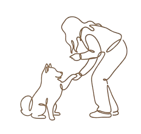 Dog de la Baie - Éducation canine